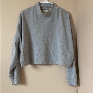 cropped grey sweatshirt